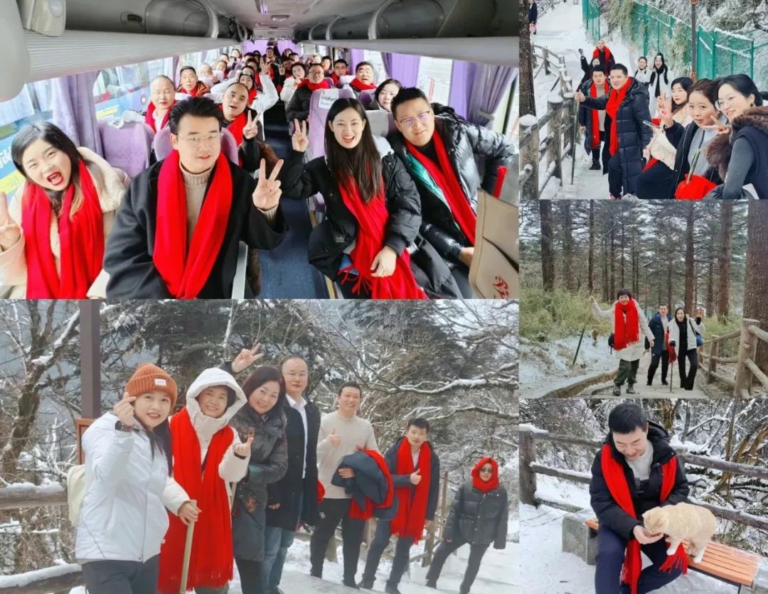 1739344540140494.jpg 15.jpg